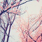 너희 <b>인생드라마</b> 추천해줘ㅠㅠ
