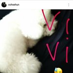 [EXO] 훈<b>스타</b> 떴다구 <b>이</b> 바보들아!ㅠㅠㅠㅠㅠㅠ