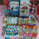 나의 동거묘 <b>도칠</b>이 '생일선물'