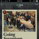 [세븐틴] ❤️캐럿들❤️