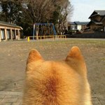 [드루와] 너네 학교화장 뭐뭐함??