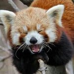 [조언부탁해] 생활발명품ㅠㅠ