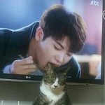 [드루와] 시1발~방줄드립치지마라ㅜ빼박밥줄이니까