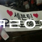 [세븐틴] 나만 <b>플</b><b>디</b>가