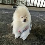 우리반에 ㄹㅇ 개존잘 있는데