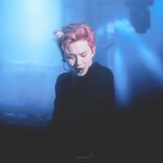 [EXO] <b>청정</b>구역