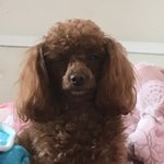 [댓글부탁해] 우리반 남자애들 매너 좋아
