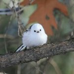 [EXO] 나 내일 <b>놀러</b>간당 신난다ㅎㅅㅎ