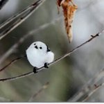 [EXO] 얘들앙 노브랜드 <b>초코쿠키</b> 짱 맛있오ㅎㅅㅎ