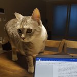 [사랑이네] <b>새집</b>으로 이사했습니다.