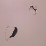 [19] 임신시킨다는말이성희롱이냐