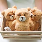 부담스러운 <b>금손</b> 엄마의 도시락