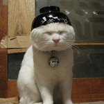 흑역사 탄생했다 ㅆ1ㅂ 애들아 <b>썰</b> 좀 풀어주라ㅠㅠㅠㅠ 너무 슬프다...