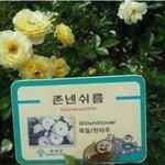 학교가기 개싫다
