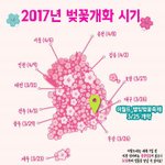 [댓글부탁해] 조언부탁해
