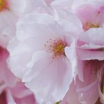 [EXO] ㅅㅂ니네 입덕하고 <b>생전</b> <b>처음</b>볼만한 사진 구해옴