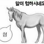 내친구 쌍수했는데