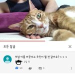 [드루와] 너네 아리랑 아리 <b>집사</b> 알아?
