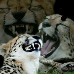 [댓글부탁해] 얘들아 추반좀