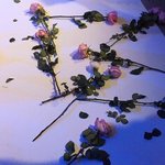 3명이서 다니는거 ㅈㄴ싫다