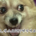 [댓글부탁해] 얘덜아 페북 라이브방송 <b>종료</b>되고 보면