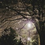 교과서에 나오는 <b>시나</b> 글 너무 예쁘지않아? ㅠㅠ