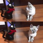 [<b>육성</b>재조이] 뎨 오랜만에 인스타!!