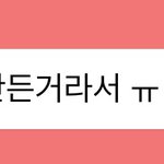 야 얘들아 얘 뭔가 이상한듯