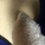 [EXO] <b>엑</b>톡개66) 푸름이 <b>방</b>댕쓰 얼굴쓰