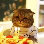 [댓글부탁해] 이쁘다는 조건 (사진 <b>미리</b>보기 방지)