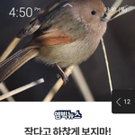 [방탄소년단] They call <b>me</b>! 뷉쉐이~