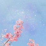 [조언부탁해] 추가)<b>전학</b>왔는데 같이다니게 된 친구가 너무 완벽하다
