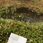 [드루와] (사진O)우리반 밖에나가 <b>보물</b>찾기로 자리바꿈 .......