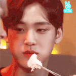 [세븐틴] 밥 먹는 <b>대형</b>멍멍이