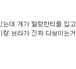 [19] 일부남자들 진짜 개소름ㅡㅡ