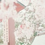 [조언부탁해] 친구문제데 제발 내고민좀들어줘