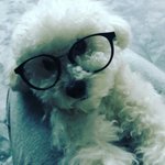 [EXO] 비비 개기<b>엽네</b> ㅁㅊ 주인 닮아가지고는