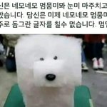 오..나 사투리 쓰는지 몰랐음