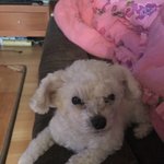 [EXO] <b>푸르</b>미 사진 좀 더 풀어조 ㅠ