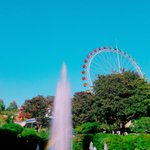 이건 진짜 <b>레알</b> 역대급 추반이다 ㄹㅇ