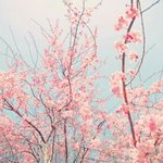 [댓글부탁해] <b>짝남</b>한테 고백받았어ㅜㅜㅜㅜ