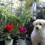 [방탄소년단] 안녕하세요 짱구입니다