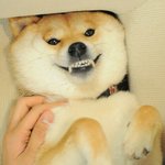 [댓글부탁해] <b>팝송</b> 좋아하는 사람 있니