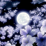 [드루와] 내 인생 정리해봤어ㅋㅋㅋㅋ