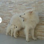 [드루와] 얘들아ㅠㅠㅠㅠ진짜 우리학교 큰일날것같아 조카무서워ㅠㅠㅠㅠㅠㅠㅠ