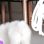 [EXO] <b>나의</b> 외로움을 달래줄 오1드리,,