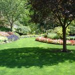 [유머] <b>그늘</b>에 있으면 기분이 좋아지는 이유