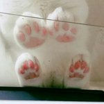 [19] 너넨 스킨쉽 기준이 몇<b>일</b><b>정도</b>가