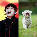 [방탄소년단] <b>이</b>삐들 테<b>형</b>이 이거봤음?