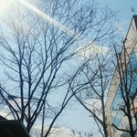 [EXO] 엄청 오랜만에 푸른 <b>하늘</b> 보는거같다